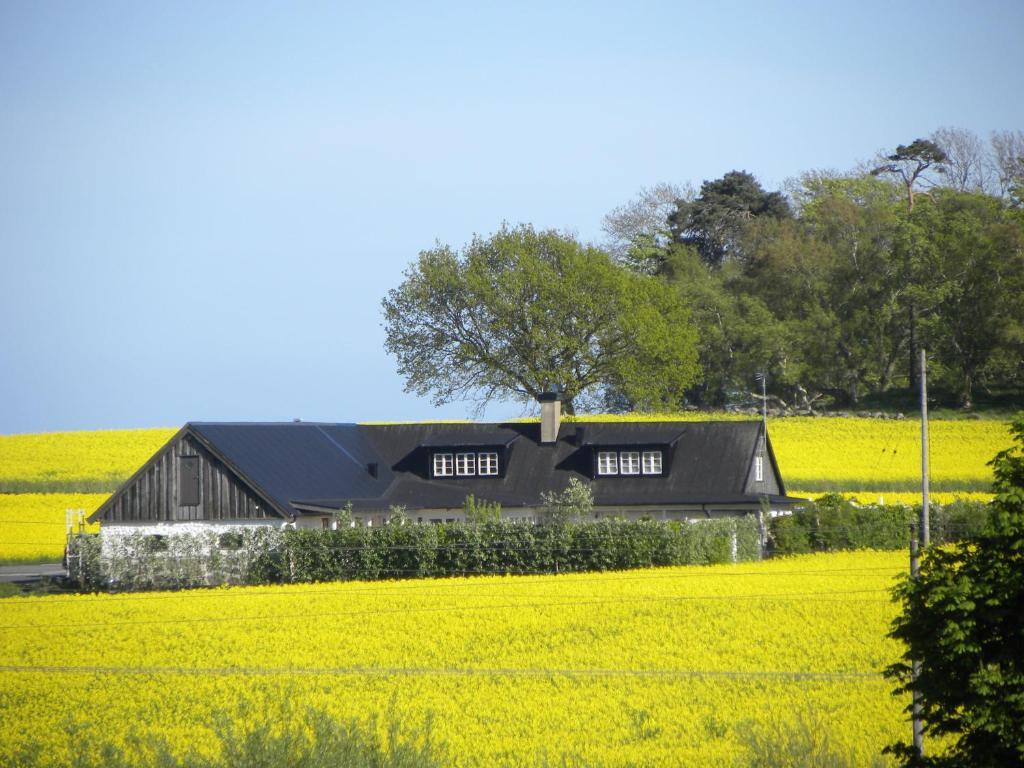 Glimminge Bed & Breakfast Simrishamn Extérieur photo