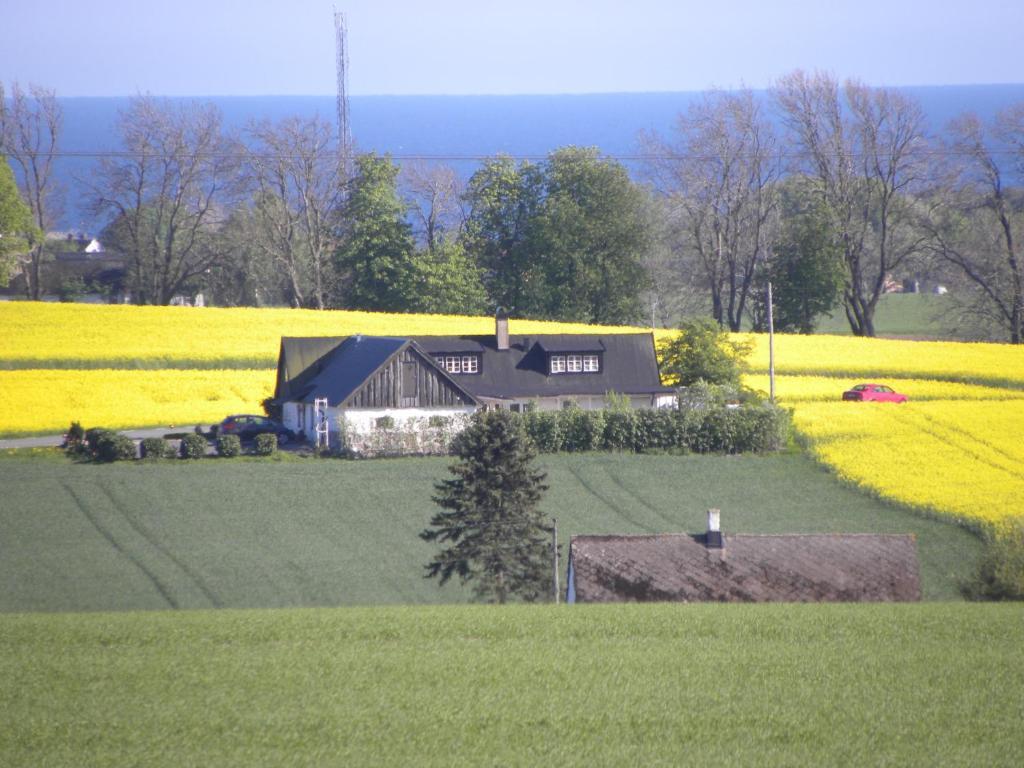 Glimminge Bed & Breakfast Simrishamn Extérieur photo